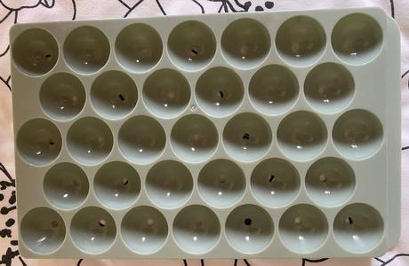 Plastová forma - 13,5cmx21cm,