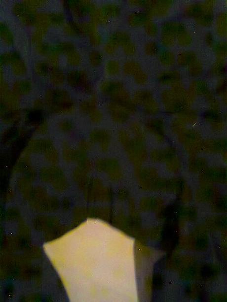 Na sportovanie 48 , 40