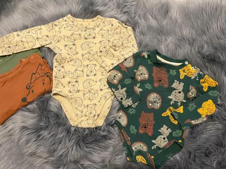 Bodynko, coccodrillo,80