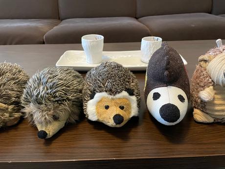 Plyšoví ježkovia, 