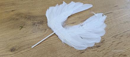 Ozdobné zapichovacie krídla, 