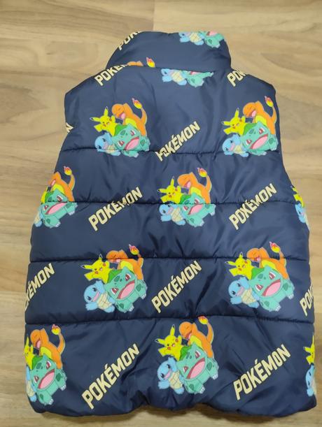 Vesta pokémon, h&m,110