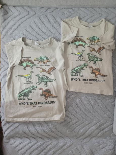 Trička pre súrodencov 110 a 122, 110