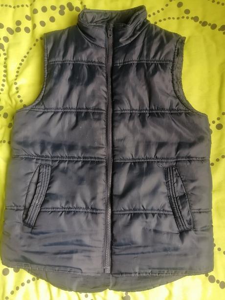 Vesta prechodna, 164