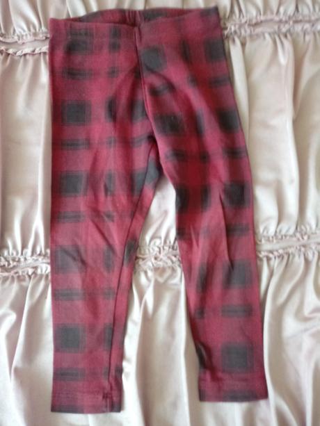 Leginky., palomino,98