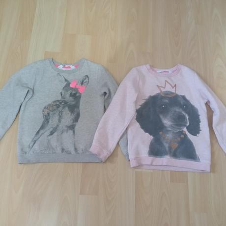 Mikiny 4-6 rokov, h&m,116