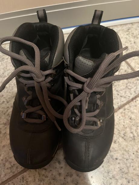 Timberland 31, timberland,31