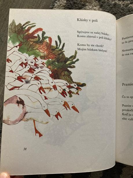 Čarokruh - jan čarek (1983), 