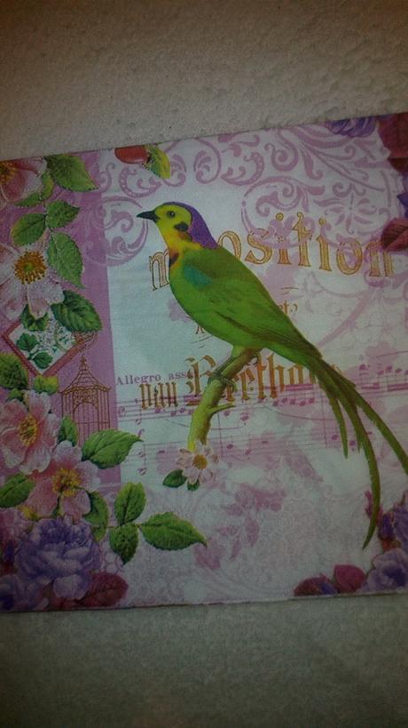 Vela servitok rôznych, 