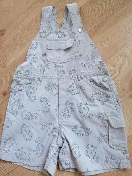 Sivé kraťasy na traky, 80