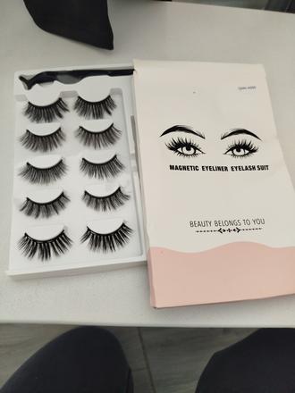 Magneticke mihalnice,