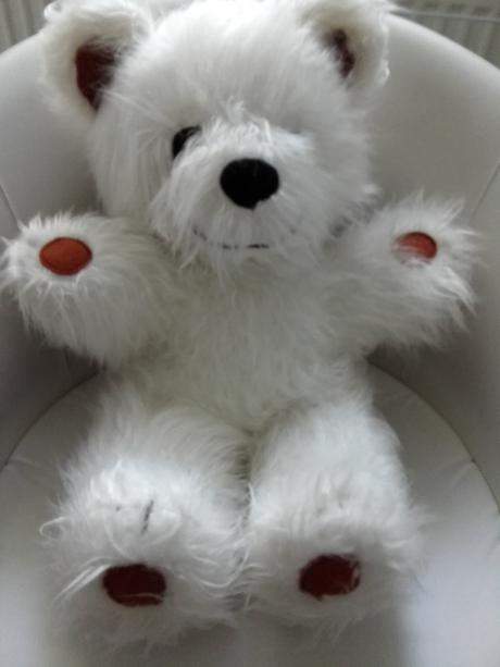 Medvedík biely plysovy, 