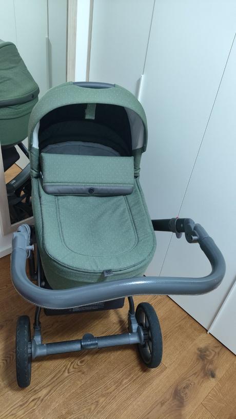 Kočík roan bloom green dots, roan,roan bloom