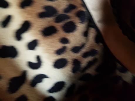 Kabatik, lipsy london,m