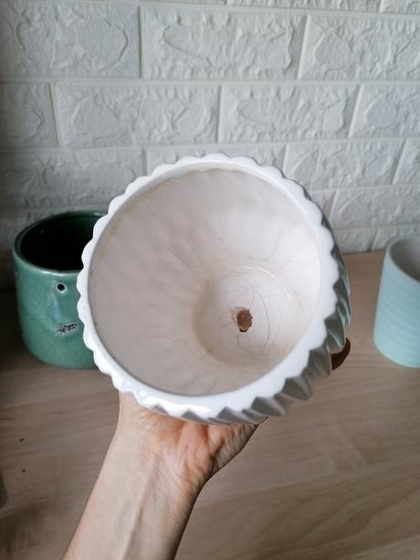 Kvetináč / kochlík na izbové rastliny, 