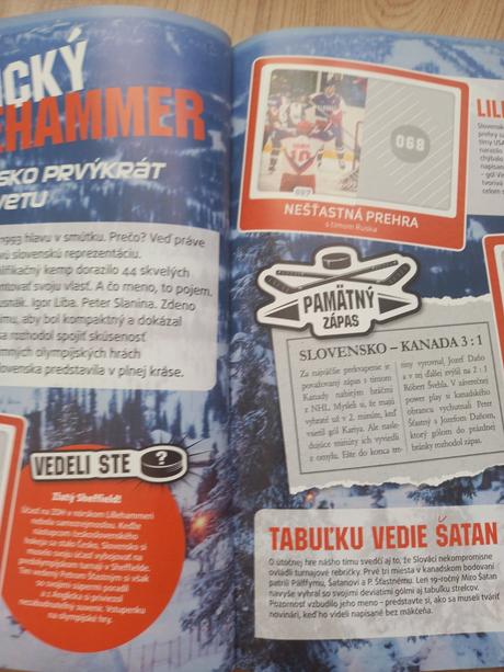 Album slovenského hokeja, 