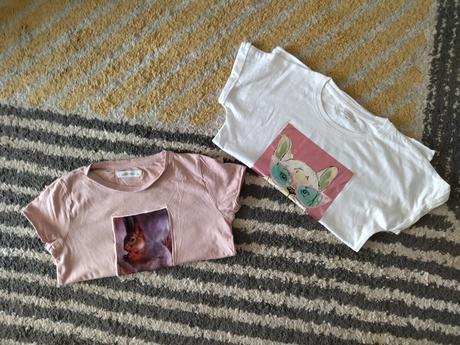 Tričká veverička a psík, reserved,140