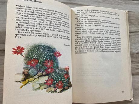 Krásna kniha o pestovaní kaktusov zelení ježci,