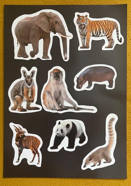 Magnetky exotické zvieratá, 