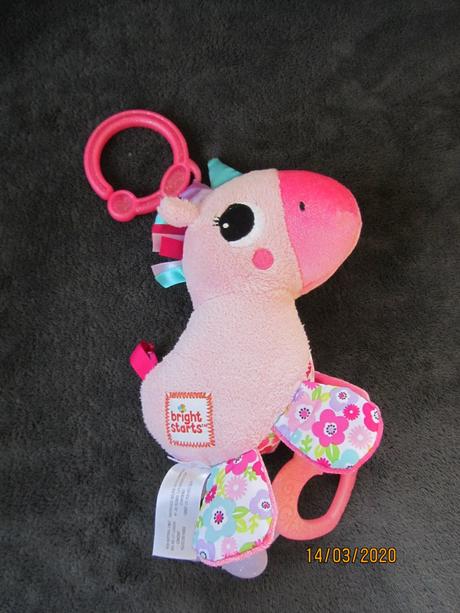 Bright starts konik, 