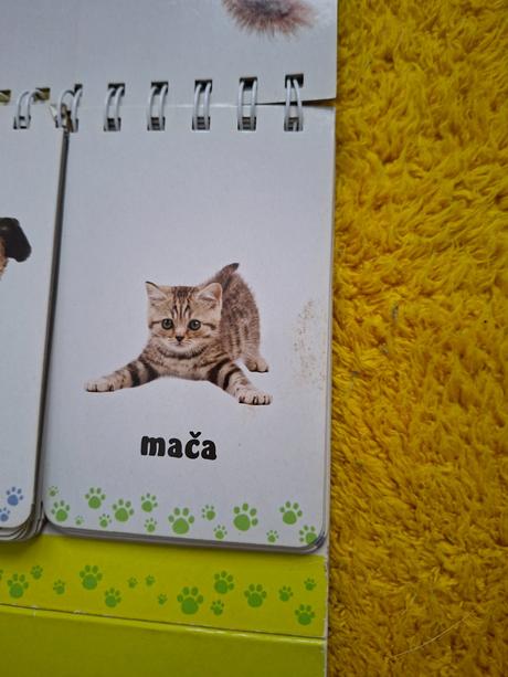 Kniha ja a moja mama, 