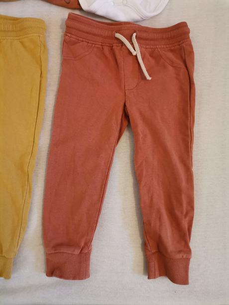 Suprava coccodrillo, coccodrillo,86