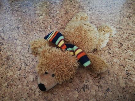Plyšový medveď, 