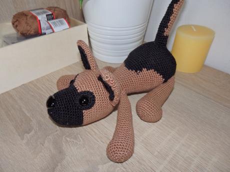 Hackovany psik vlciak,