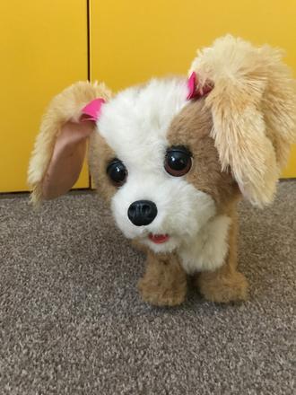 Interaktívny psík,