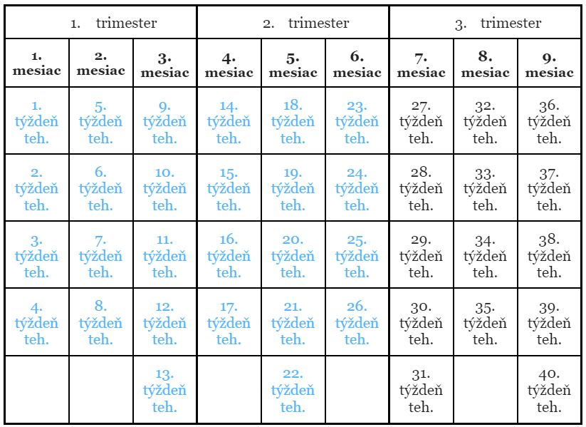 26. týždeň tehotenstva trimester