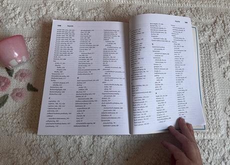 Kniha css kompletní průvodce,
