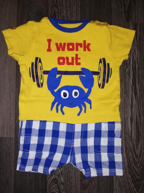 Opalovačky, ladybird,86