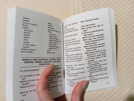 Angličtina do vrecka,