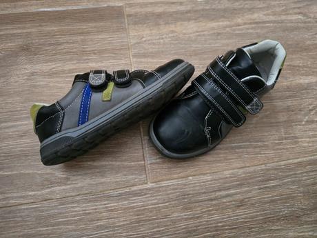 Poltopánky č.31, lasocki,31