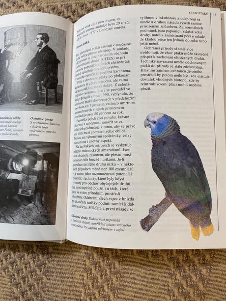 Krásna kniha vaše ptactvo david alderton,