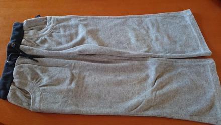 Velurove tepláky, coccodrillo,98