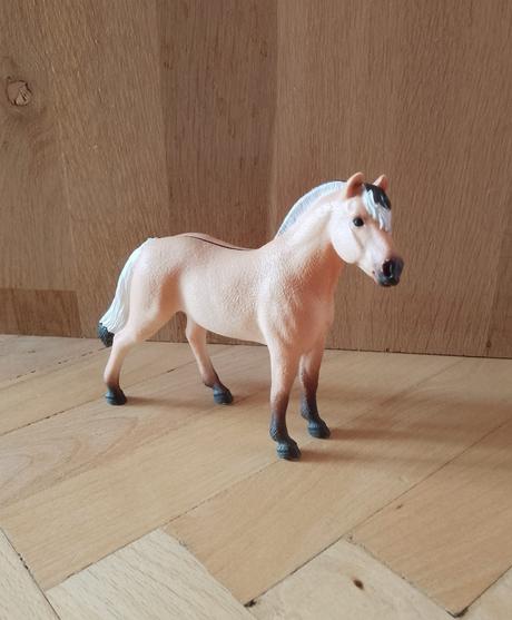 Schleich fjord,