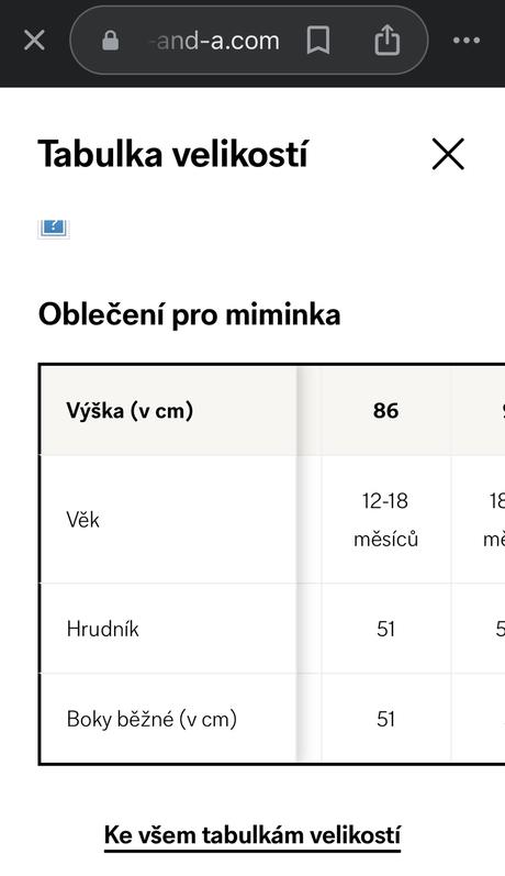 Chlapcenska zateplena bunda velkost 86, c&a,86
