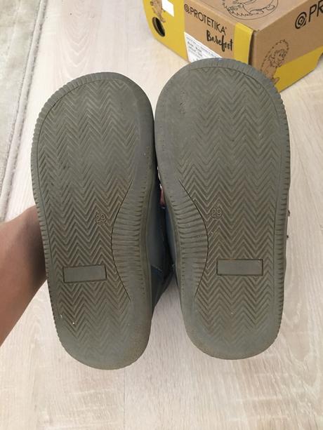 Protetika ramos - v.29, protetika,29