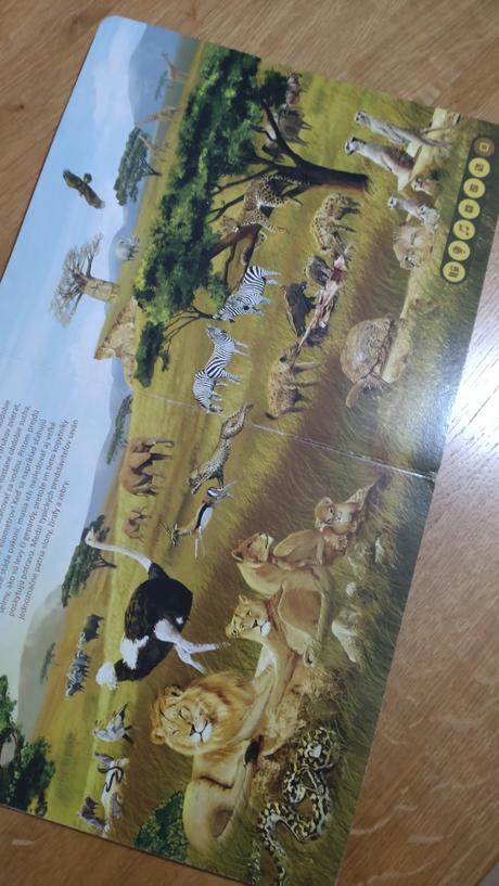 Kouzelné čítanie, 