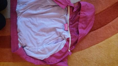 Tensia bundicka , l.a. gear,128