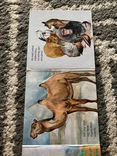 Leporelá állatkertben, autó parádé, 