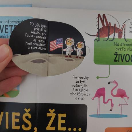 Vsetko co potrebujes vediet, 