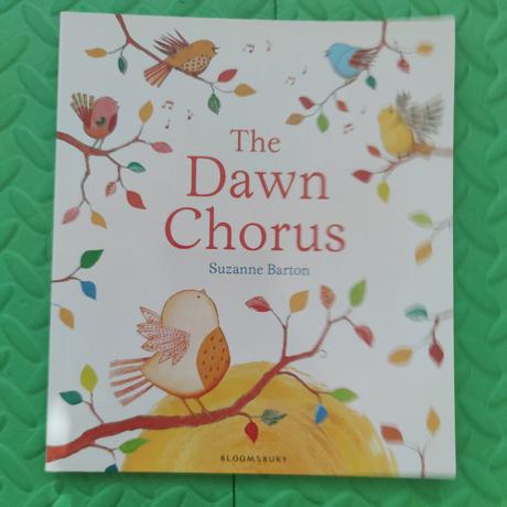 The dawn chorus top stav,