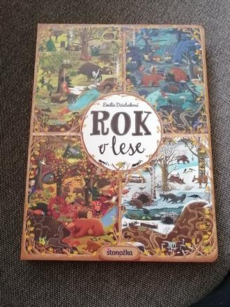 Kniha rok v lese, 