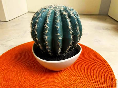 Umelý kaktus, 