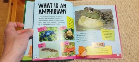 Izzi howel - factcat - amphibians,