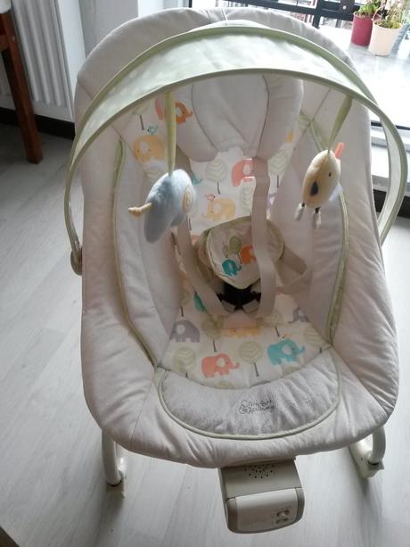 Bright starts harmony, 