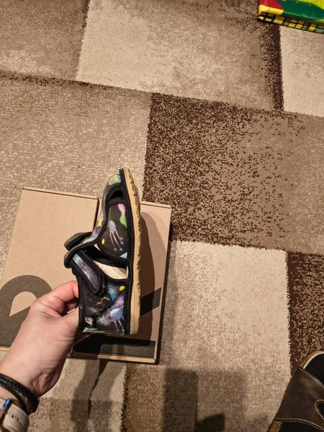 Papučky rak vesmir, rak,27