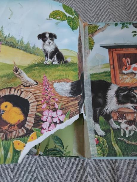 Zatúlané zvieratká,